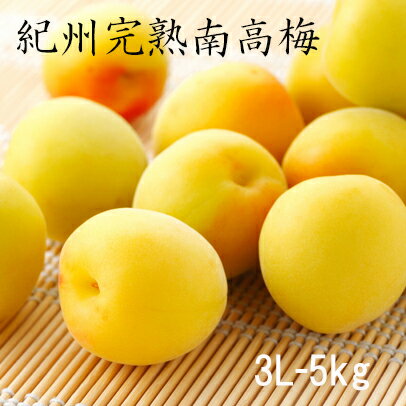 【キズ有り】本場紀州の南高梅(完熟）梅干し用　大粒　3L　5kg【送料無料】南高梅・生梅・梅・梅酒・梅ジャム・梅ジュース・うめ・生梅・みなべ