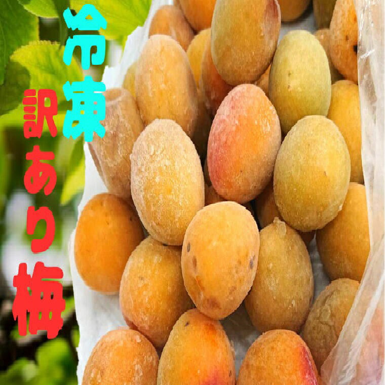 《冷凍完熟梅》食品ロス企画　訳ありB級完熟梅約2K【無選果サイズ指定なし】【紅映　南高梅　新平太夫梅　福太夫梅　完熟梅】　 梅酒 梅ジュース 梅シロップ・ 梅ジャム・ 梅シロップ手作り 和歌山 福井 紀州　送料無料