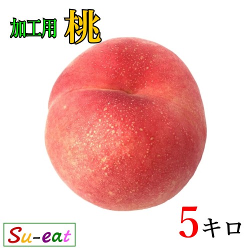 8月上旬〜中旬　加工用 桃 長野県産 品種おまかせ 5キロ