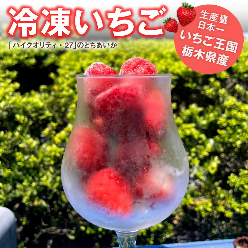 冷凍いちご 1.5kg または 2kg (とちあいか)　／栃木県産 いちご 苺 イチゴ とちあいか 送料無料 冷凍果物 デザート おやつ 農家直送 季節の果物 業務用 大容量 製菓用 国産 大粒 会社 職場 大量 法人 お祝い お返し プレゼント ギフト お取り寄せ【BK】【WS】