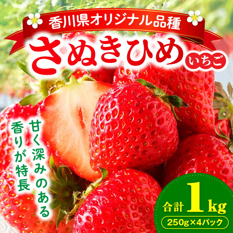 【ふるさと納税】【先行予約】三木町地域いちご部会「さぬきひめ」1.0kg 果物 フルーツ 苺 デザート イチゴ 旬 おすすめ グルメ 季節 ギフト 果肉 おすそ分け アレンジ いちごジャム 旬の果物 贈答 贈り物 果実 青果物 パック 国産 おすすめ 人気 ふるさと 冷蔵 香川県