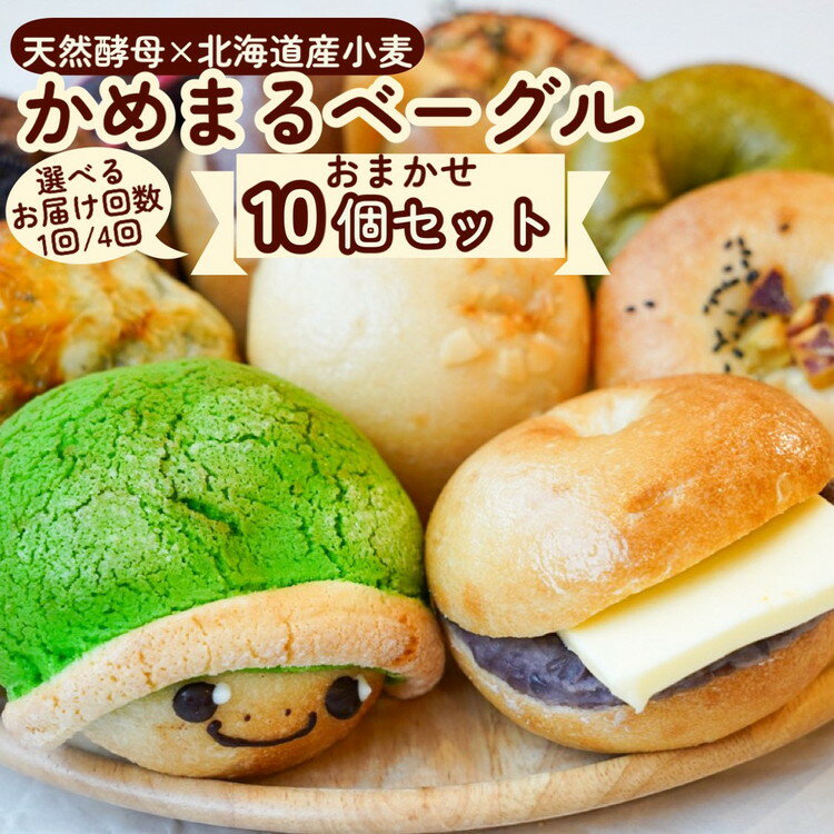 【ふるさと納税】【TVで放映されました！】天然酵母 ベーグル かめまるベーグル10個セット 選べる 1回/4回 ベーグルショップCocoroPan 天然白神こだま酵母使用《無添加 亀岡 もちもち 国産小麦 個包装 ふるさと納税ベーグル》