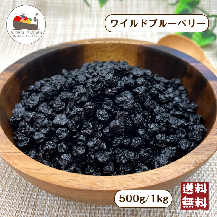 ドライ ワイルドブルーベリー 500g / 1kg ドライフルーツ ブルーベリー チャック付き保存袋 メール便 送料無料 ポイント消化