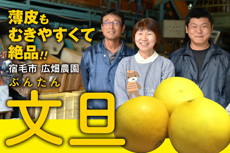 【ふるさと納税】先行予約 土佐文旦 選べる 容量 5kg 10kg 家庭用 贈答用 L ~ 4L 大玉 文旦 ぶんたん みかん 高知 フルーツ スイーツ 蜜柑 お裾分け デザート 柑橘 ジャム お菓子 広畑農園