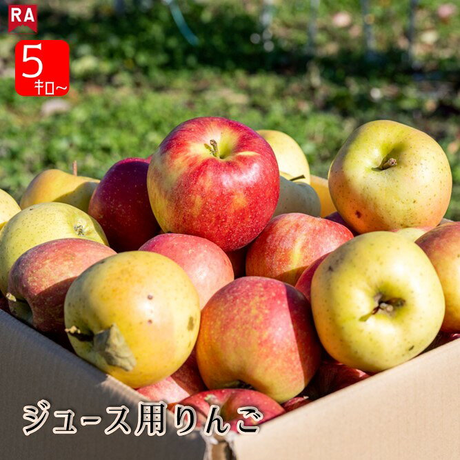りんご 加工用 ジュース用 バラ詰め 青森県産 規格外品 傷あり ジャム用 加工用 りんごジュース スムージー ジャム お菓子 アップルパイ コンポート リンゴ 林檎 アップル 青森りんご 産地直送 農家直送