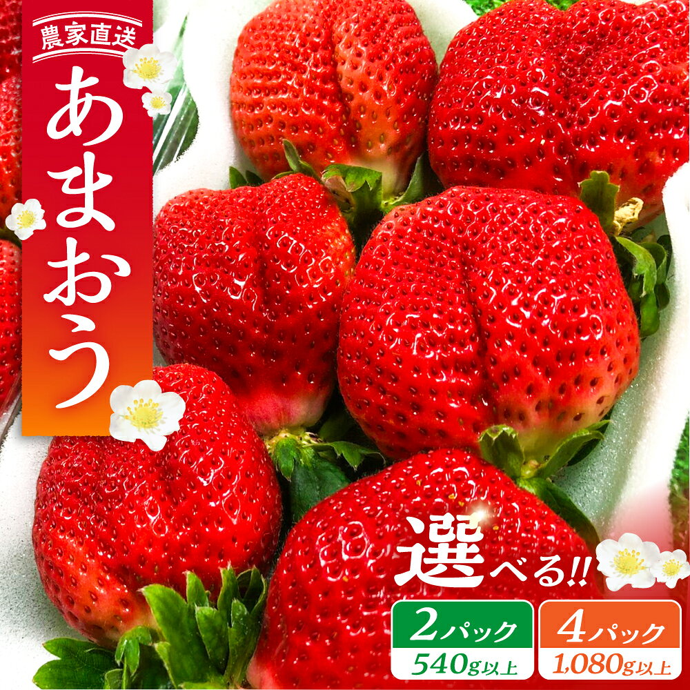 【ふるさと納税】【先行予約】あまおう 540g 1080g 2パック 4パック いちご《豊前市》【内藤農園】[VAB002] いちご イチゴ 苺 果物 くだもの フルーツ ストロベリー 朝採れ 新鮮 旬 甘い 大粒 農家直送 産地直送 国産 冷蔵 ギフト 贈答 贈り物 土耕栽培 福岡