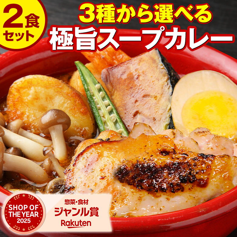 カレー レトルト【3種から選べる 北海道極旨スパイシー.スープカレー2食.】 レトルトカレー スパイス チキン スパイスカレー 角煮 スパイスカレーセット カレーセット 北海道 食品 【B】