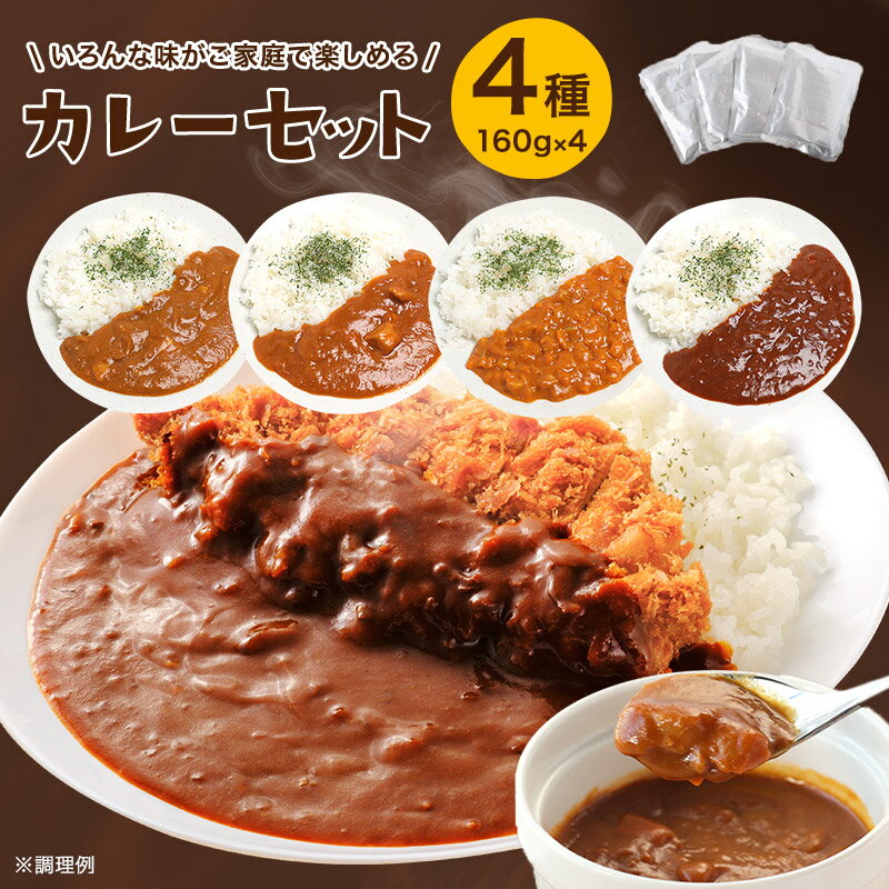 レビュー★4.49 送料無料 ＿食べ比べ！カレー詰め合わせセット＿（4種）　 お試しセット カレー 即席 調理 簡単 レトルトカレー ビーフ スパイスカレー スパイス レトルト カレーライス 4袋入 国産 時短