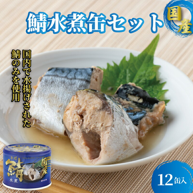 【ふるさと納税】 国産 サバ水煮 12缶 190g×12缶 さば 鯖 水煮 さば缶 鯖缶 鯖水煮 缶詰 魚 海鮮 魚介 魚介類 保存食 非常食 防災 災害 食料 キャンプ 常温 長期保存 長期保管 贈答 ギフト 備蓄 おかず おつまみ 惣菜 ご飯 青魚 健康 美容 送料無料 千葉県 銚子市 信田缶詰