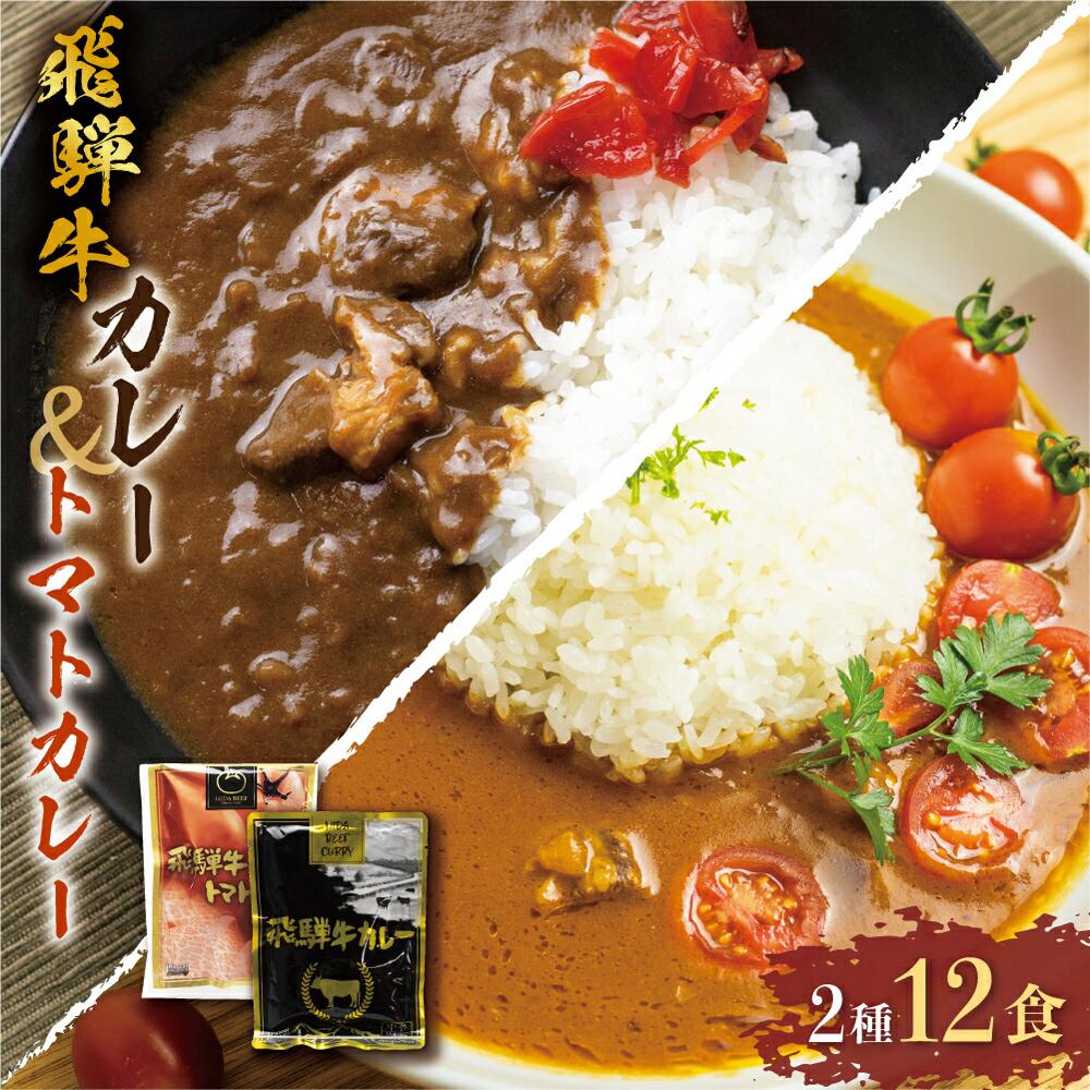 【ふるさと納税】飛騨牛カレー (8袋) 飛騨牛トマトカレー (4袋) | 常温配送 10,000円 訳あり 飛騨牛 肉 牛 カレー ビーフカレー 簡易包装 レトルトカレー トマトカレー ご当地カレー 人気 おすすめ 便利 飛騨高山 ふるさと清見 DC004VP