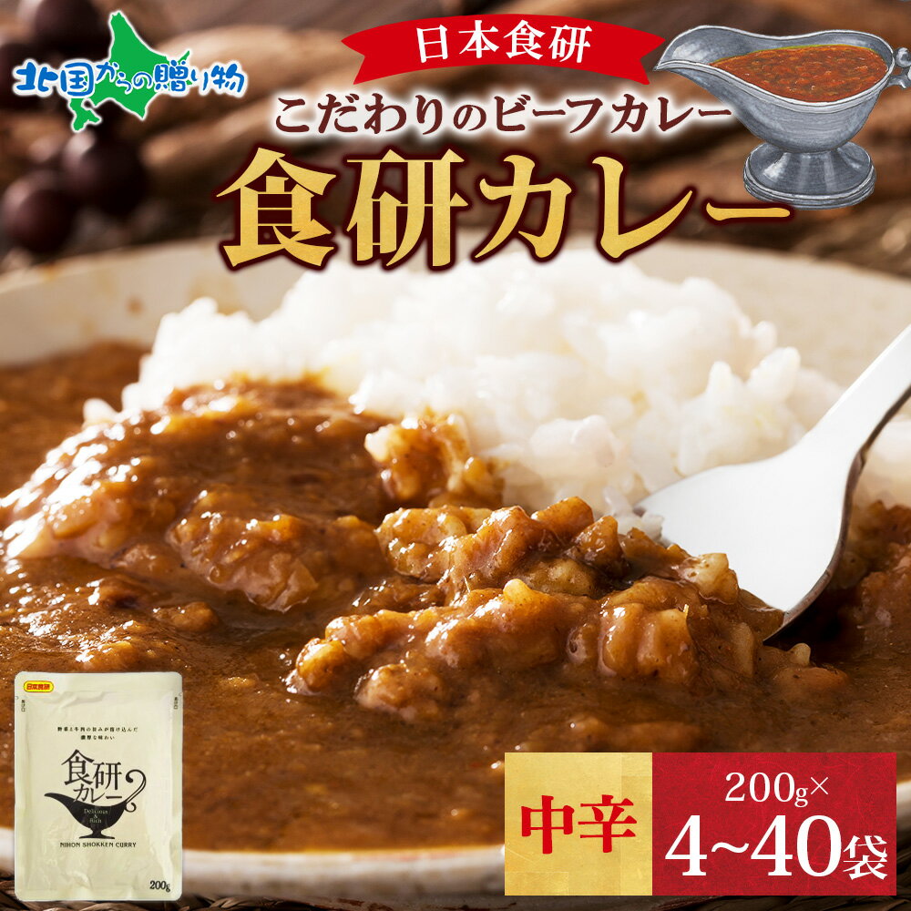 食研カレー 200g 4/20/30/40食(レトルト カレー ギフト レトルト食品 常温 お取り寄せグルメ ギフト 食べ物 誕生日プレゼント お惣菜 メール便 ポイント消化 送料無料 1000円ポッキリ 日本食研 カレー gift set お土産 北国からの贈り物 産直ギフト)