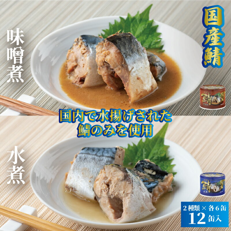 【ふるさと納税】 国産 鯖水煮 ・ 味噌煮 12缶セット 190g さば 鯖 さば缶 鯖缶 水煮 味噌煮 缶詰 グルメ お取り寄せ ギフト プレゼント 贈答 保存食 長期保存 非常食 防災 キャンプ 備蓄 セット 魚 海鮮 魚介 魚貝 ふるさと納税缶詰 常温 送料無料 千葉県 銚子市 信田缶詰