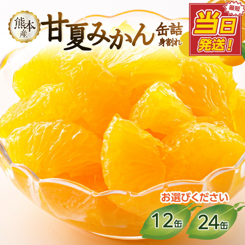 【ふるさと納税】【レビュー高評価★4.77】【選べる内容量】甘夏みかん 缶詰 （12缶・24缶）（身割れ） 日付指定 最強配送 翌日配送 最強翌日配送 みかん みかん 缶詰 国産 缶詰 フルーツ フルーツ缶詰 はちみつ 保存食 非常食 防災 備蓄食 かんづめ 缶詰 家庭用 自宅用