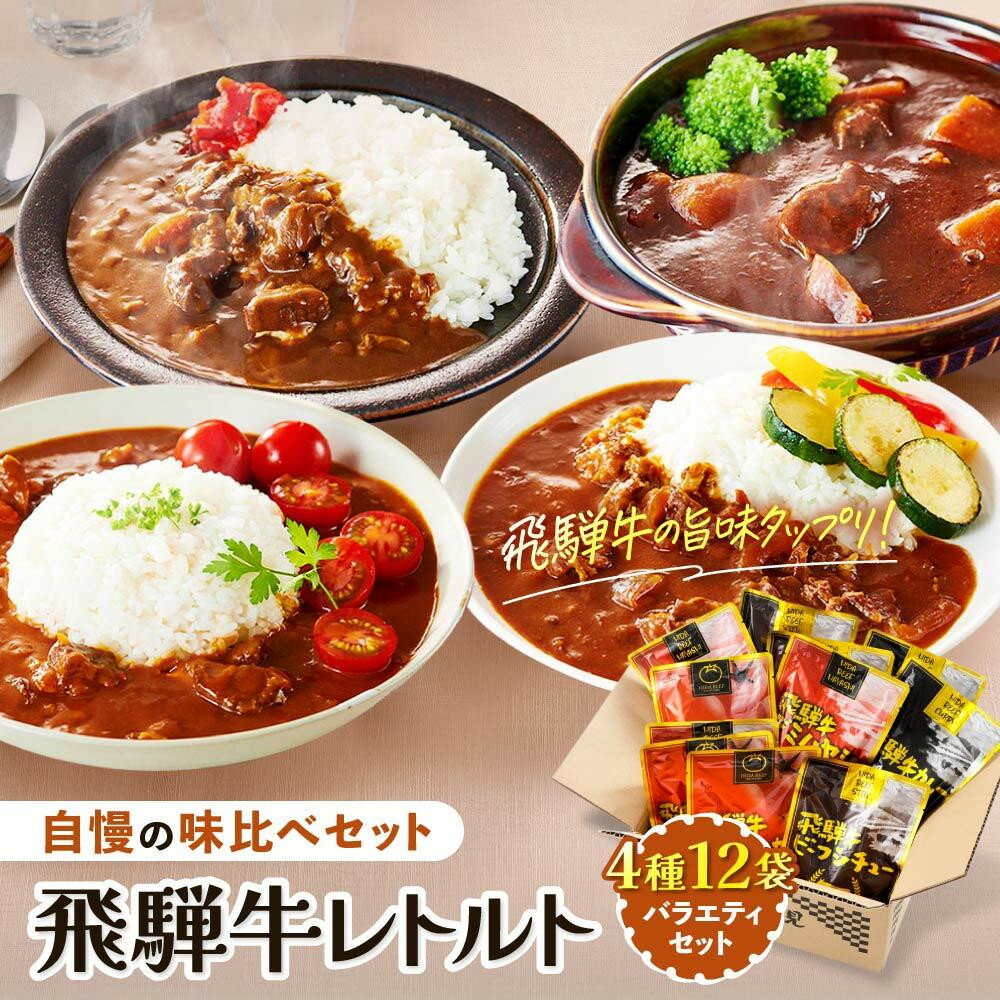 【ふるさと納税】訳あり 飛騨牛レトルト4種12袋！ バラエティセット | 常温配送 飛騨牛 肉 牛 カレー ビーフカレー トマトカレー ビーフシチュー デミハヤシ 簡易包装 レトルトカレー ご当地カレー おいしい 便利 飛騨高山 ふるさと清見21 DC002VP