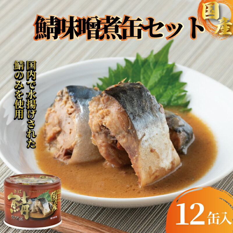 【ふるさと納税】 国産 鯖味噌煮 12缶セット 190g さば 鯖 味噌煮 さば缶 鯖缶 缶詰 グルメ お取り寄せ 贈答 贈物 プレゼント ギフト 惣菜 保存食 非常食 防災 キャンプ 備蓄 セット 詰め合わせ 青魚 健康 魚 魚貝 魚介 海鮮 ふるさと納税缶詰 常温 千葉県 銚子市 信田缶詰