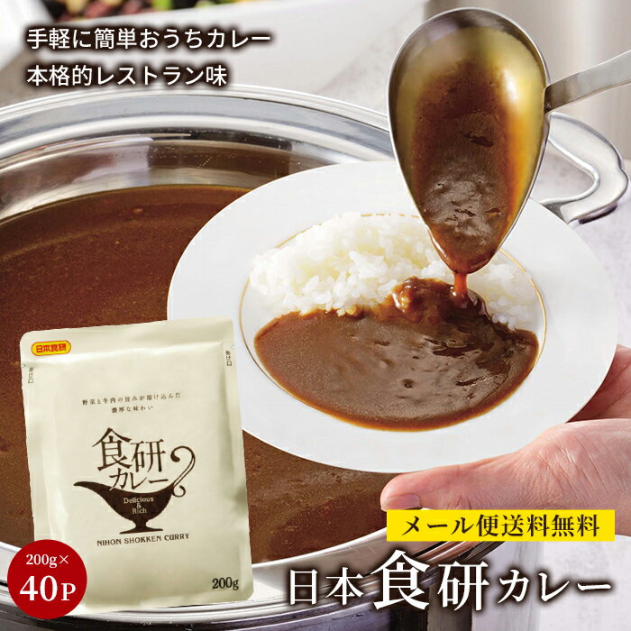 レトルトカレー 人気 日本食研 カレー 食研カレー 中辛 セット ひと手間 レシピ 簡単 アレンジ 保存 非常食 備蓄 地震 備え 送料無料 200g 40袋