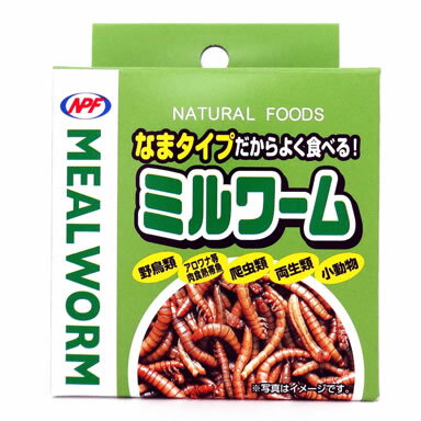 なまタイプだからよく食べる！ ミルワーム/缶詰