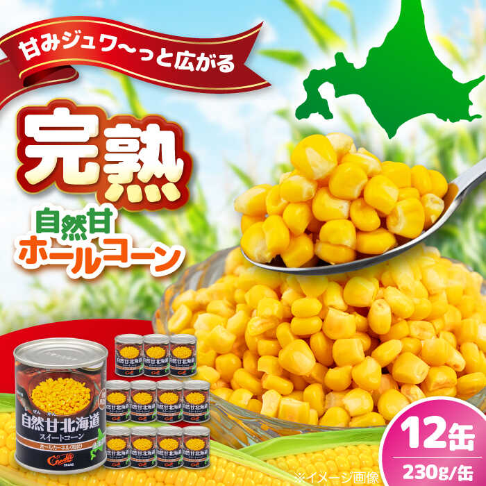 【ふるさと納税】＼リピーター続出！／ 自然甘ホールコーン 12缶《喜茂別町》【きもべつ観光協会】 コーン コーン缶 とうもろこし トウモロコシ 缶 缶詰 北海道 常温 常温配送 [AJAG019] 9000 9000円