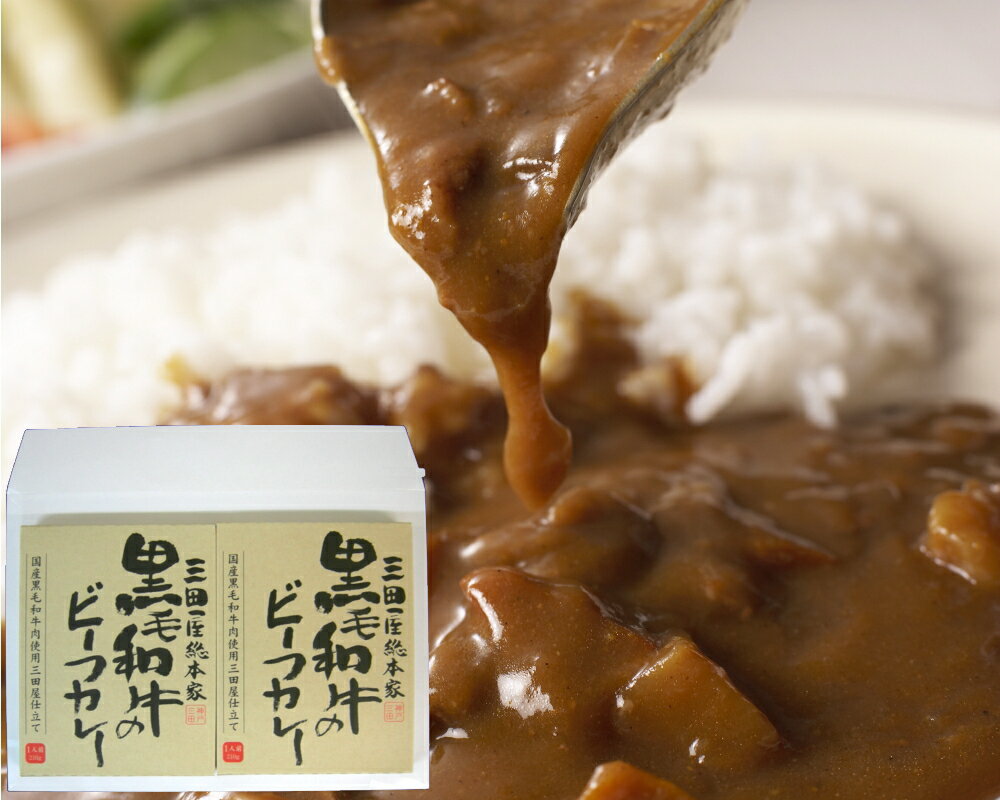 【全品ポイント5倍！10月9日1時59まで】 三田屋総本家黒毛和牛のビーフカレーおためしセット2個入り 内祝い ギフトセット