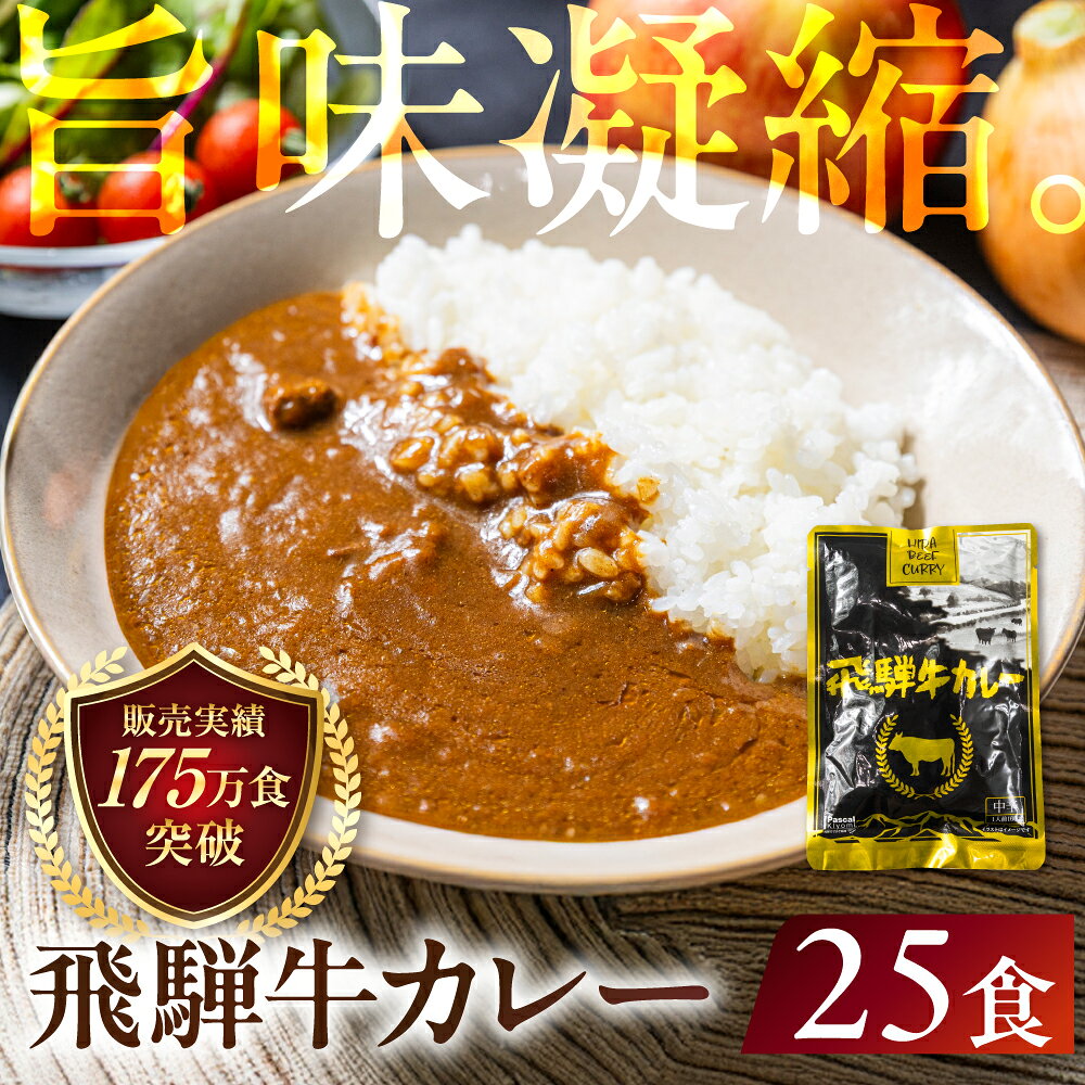 【ふるさと納税】飛騨牛カレー (25袋) | 常温配送 訳あり 飛騨牛 肉 牛 カレー ビーフカレー 簡易包装 レトルトカレー ご当地カレー 人気 おすすめ 発送時期が選べる 便利 飛騨高山 ふるさと清見 DC008VP