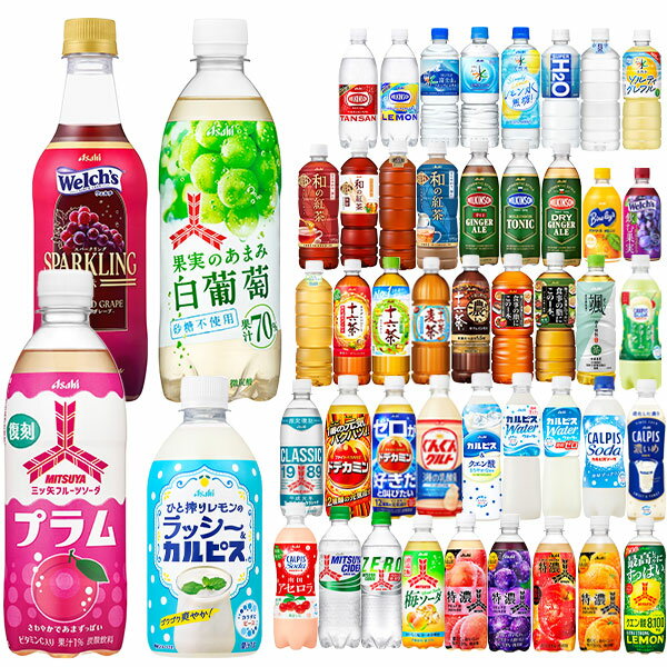 アサヒ飲料 400ml〜660mlPET×48本[24本×2箱] 選り取り [三ツ矢サイダー ドデカミン ウィルキンソン 十六茶 カルピス 国産水 天然水 バヤリース 炭酸水 ミネラルウォーター]【3〜4営業日以内に出荷】［送料無料］
