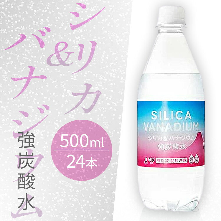 ＼最安値挑戦中！／炭酸水 強炭酸水 500ml 24本 シリカ炭酸水 バジナウム 友桝 サイダー 友桝飲料 【D】【代引き不可】
