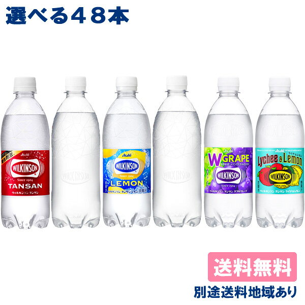 ウィルキンソン 炭酸 タンサン 500ml PET 選べる 2ケースセット（48本入）【ウィルキンソン】【炭酸水 炭酸】【送料無料】【別途送料地域あり】