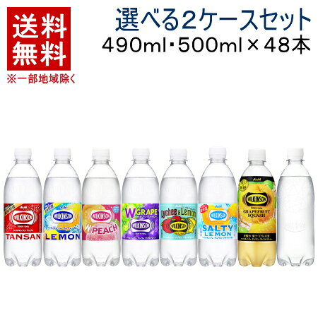 ［飲料］★送料無料★※　【選べる2ケースセット】　ウィルキンソン　炭酸水　（24本＋24本）490ml・500mPETセット　（48本セット）（タンサン）（レモン・ラベルレス・グレープ・ライチ＆レモン・グレフルスカッシュ）アサヒ飲料【まとめ買い】
