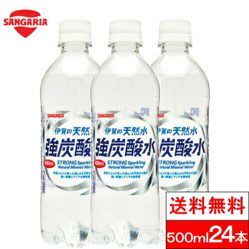 【 1ケース 】【 送料無料 】 伊賀の天然水 強炭酸水 ソーダ 炭酸 プレーン 炭酸水 500ml 24本 送料無料 伊賀の強炭酸 サンガリア 無糖 炭酸水 伊賀の強炭酸水 ソーダ水 無糖炭酸 伊賀 国産 ペットボトル 無糖炭酸水 ハイボール セット