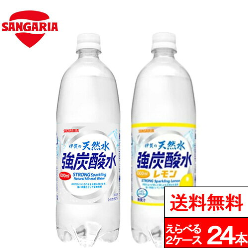 【 送料無料 】 強炭酸 伊賀の天然水 強炭酸水 選べる強炭酸水 炭酸水 1000ml 12本×2箱（計24本）伊賀の強炭酸水 サンガリア 炭酸水 ペットボトル スパークリングウォーター まとめ買い 天然炭酸水 炭酸ソーダ スパークリング 1リットル