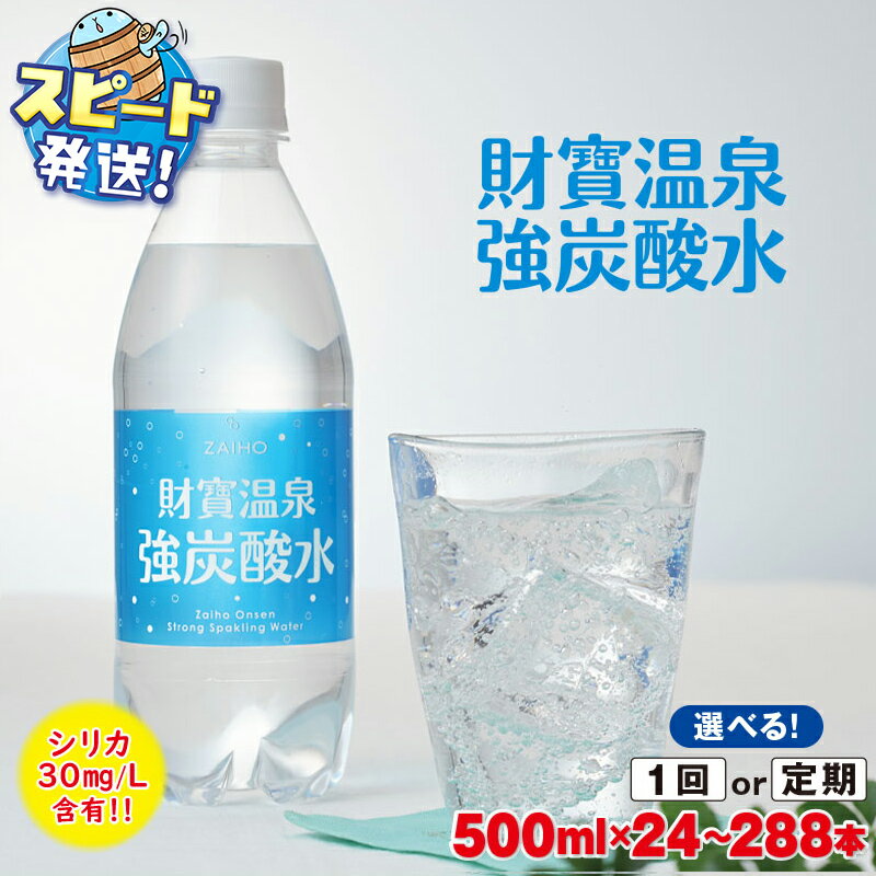 【ふるさと納税】高評価★4.7【配送方法が選べる】財寶温泉強炭酸水 500ml (通常便：24本or48本/定期便：24本or48本×3・6回・計72~288本) 強炭酸水 天然アルカリ温泉水 ペットボトル 国産 シリカ 無糖炭酸水 鹿児島県 垂水市 ふるさと納税 炭酸【財宝】