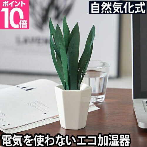 ミクニ エコ 加湿器 ミスティプランツ サンスベリア ペーパー加湿器 卓上 デスク 小型 小さい お手入れ簡単 ペットボトル かわいい おしゃれ 電源不要 電気 使わない コードレス 部屋 寝室 リビング オフィス 持ち運び 気化式 ベッドサイド 日本製