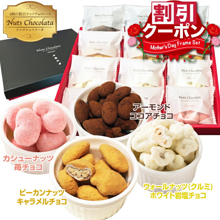 贈答用 お菓子 ギフト ナッツ チョコレート ナッツショコラータ 4種 小分け 個包装 母の日ギフト 2026 お礼 お返し ミックスナッツ チョコ コーティング 大容量 ピーカンナッツ カシューナッツ アーモンド くるみ ばらまき 会社 お配り 詰め合わせ チョコレート菓子 おしゃれ