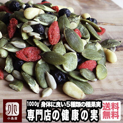 健康の実 ミックスシード ドライフルーツ 1kg 健康 ミックスナッツ 身体に良い 5種類の ナッツ と ドライフルーツ たっぷりかぼちゃの種 松の実 クコの実 ひまわりの種 ブルーベリー パンプキンシード ゴジベリー サンフラワーシード ヒマワリの種 上野 アメ横