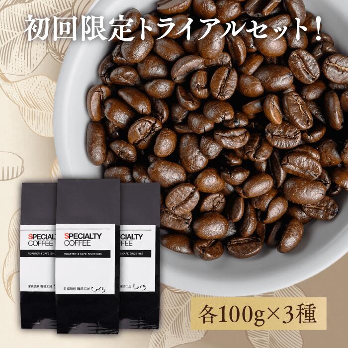 ＼ポイント10倍／ コーヒー豆 お試しセット 300g 100g×3種 飲み比べ 約30杯分 送料無料 自家焙煎 コーヒー 珈琲 豆 粉 焙煎士おすすめ トライアル 高品質 ドリップバッグ付 ギフト プレゼント おしゃれ 買い回り 父の日 父の日 詰め合わせ 贈り物 専門店