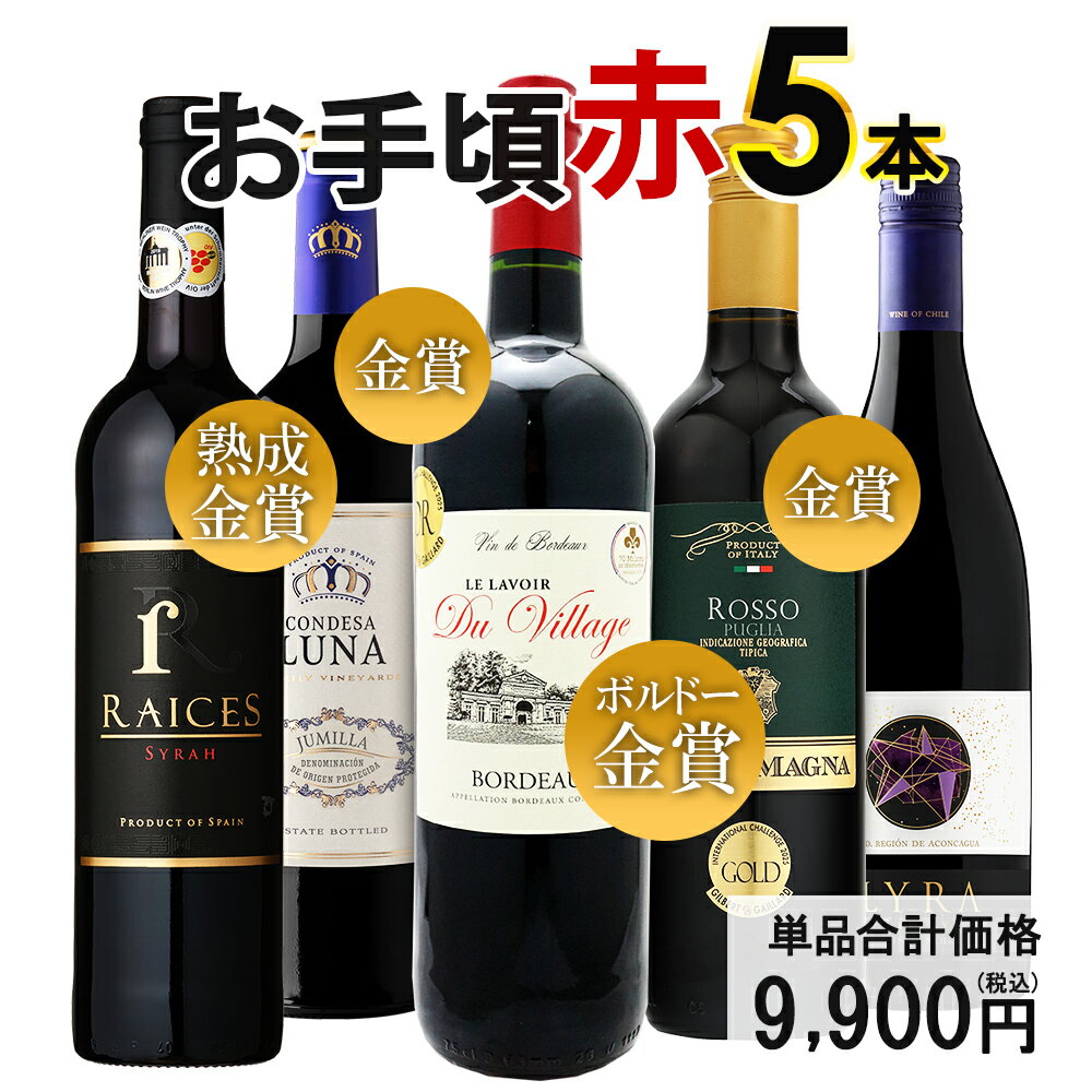 【エントリーでポイント20倍確定】赤ワイン ワインセット お手頃ワイン 5本セット 送料無料 一部除外 ワイン 辛口 スペインワイン フランスワイン チリワイン ボルドー 金賞 【DN】