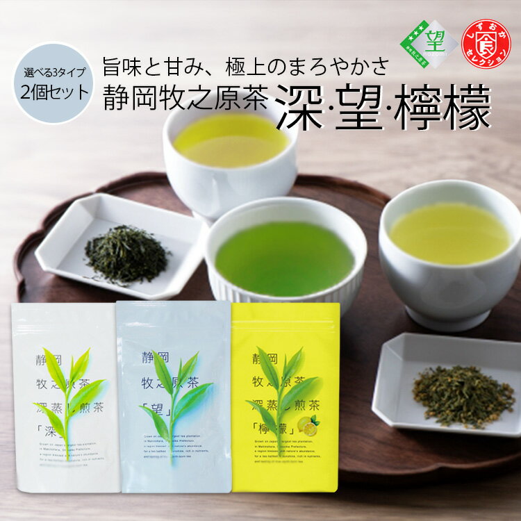 お茶 ティーバッグ 静岡牧之原茶 望 深 檸檬 5g×12P×2 1000円ポッキリ ぽっきり 飲み比べ 選べ 静岡茶 日本茶 緑茶 水出し 静岡県産 ブランド茶 煎茶 牧之原茶 深蒸し 深むし 茶葉 業務用 家庭用 ギフト 贈り物 送料無料