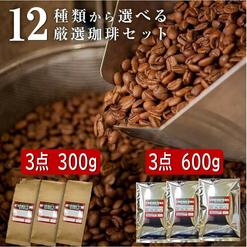 【計600g】【計300g】12点の珈琲豆から選べる福袋！3点セット コーヒー豆 お試しセット お試し 珈琲豆 飲み比べ 焙煎具合や挽き具合も選べるのは当店だけっ (coffee-0001)送料無料 メール便