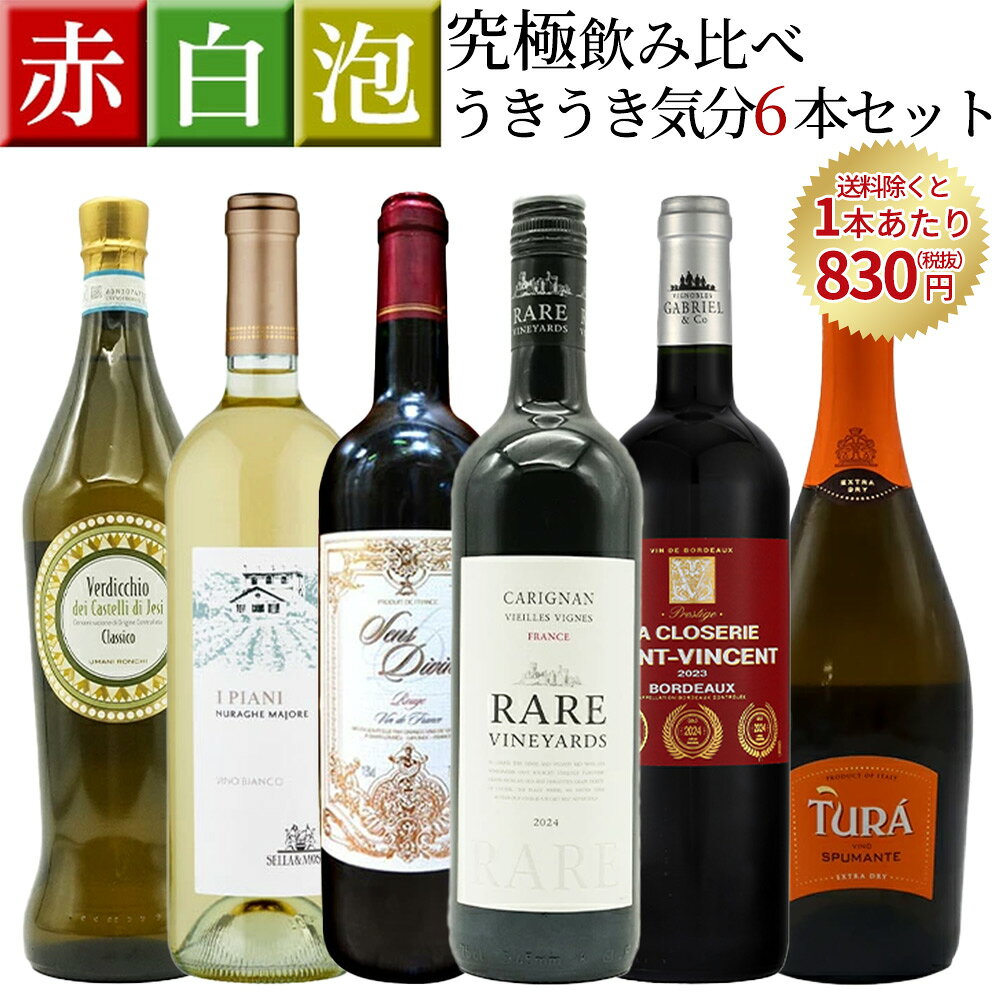 【送料無料】スタッフ超厳選!コスパ抜群!赤 白 泡 究極飲み比べうきうき気分6本セット【smtb-k】 ワインセット
