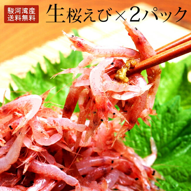 ケンミンショー《駿河湾産生桜えび120g》〈60g×2パック〉静岡特産 静岡 ヒルナンデス 父の日 母の日 日本酒 桜えび さくらえび 生桜海老 お取り寄せ お歳暮 ギフト おつまみ 駿河湾産 超貴重な桜海老 【無料ギフト包装・のし】