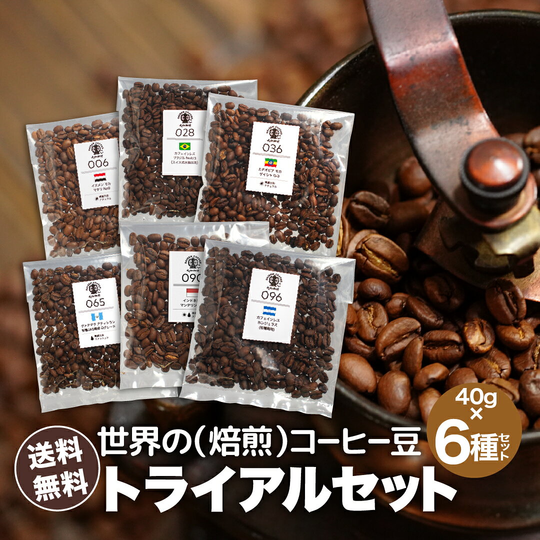 スペシャルティコーヒーお試し コーヒー豆 飲み比べ ゲイシャや浅煎りから深煎りまで飲める DRIP TRIP 粉 40g×6袋 珈琲豆 トライアル 福袋