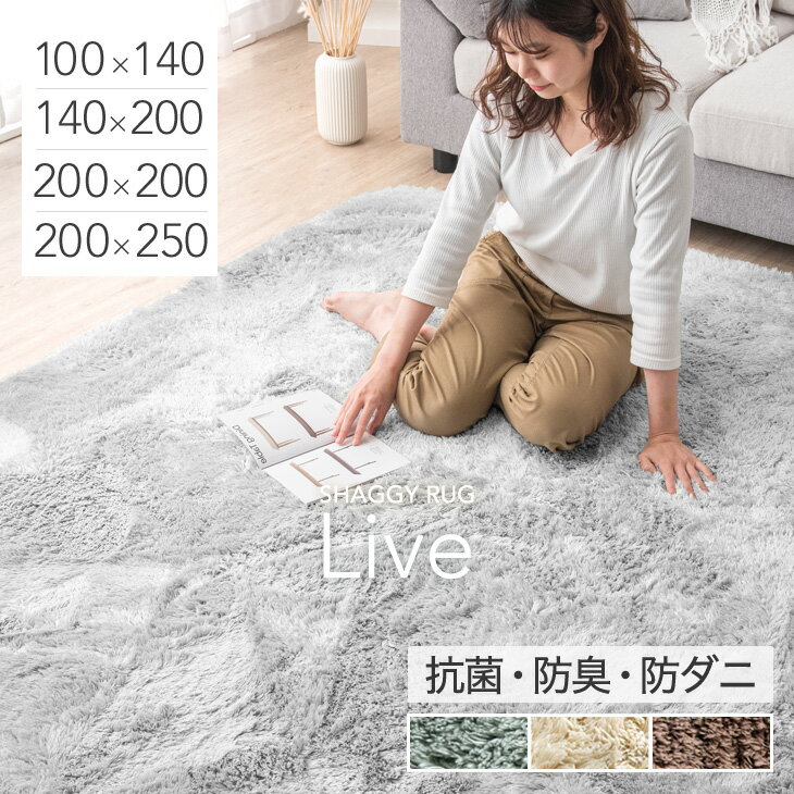 【本日5%引クーポン】 さらふわ手触り 洗えるシャギーラグ 抗菌 防臭 低ホル 防音 滑り止め ラグ ラグマット 100×140 140×200 200×200 200×250 オールシーズン 冬 北欧 長方形 1畳 2畳 2.5畳 3畳 厚手 無地 カーペット 絨毯 おしゃれ 春