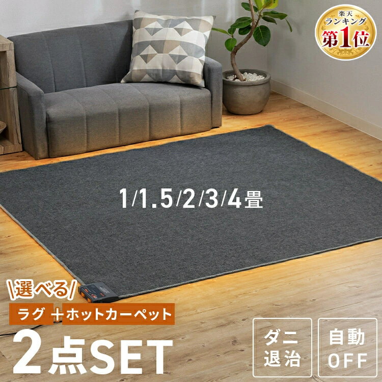 ＼レビュー1,700件突破／ ホットカーペット 1畳 1.5畳 2畳 3畳 本体 ラグ セット もこふわ 長方形 正方形 電気カーペット ホットマット 電気マット 速暖 温度調節 ダニ対策 足元暖房 床暖房 暖房器具 テクノス TEKNOS *