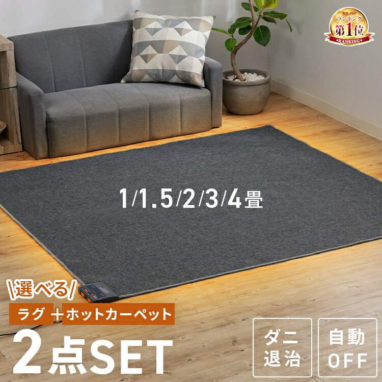 【ほぼ全品P5倍★正午~】★楽天1位★ ホットカーペット 2畳 1畳 1.5畳 3畳 4畳 ラグ セット 省エネ 本体 TEKNOS 電気カーペット コンパクト ホットマット 電気マット 省エネ 正方形 切り忘れ自動OFF ダニ退治機能 簡単 温度調節 コンパクト収納 グレー【B】
