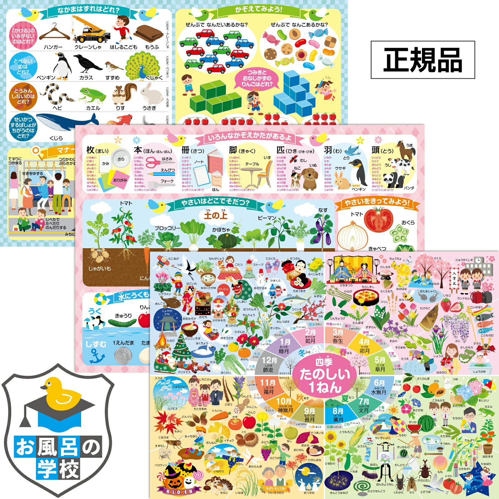 【SS限定クーポン】 小学校 お受験対策 お風呂 知育 ポスター お風呂ポスター 3枚セット (季節の花・食べ物・行事・ものの数え方・二十四節気・マナー違反などを網羅) 小学校受験 B3サイズ 防水 知育ポスター おふろ おもちゃ