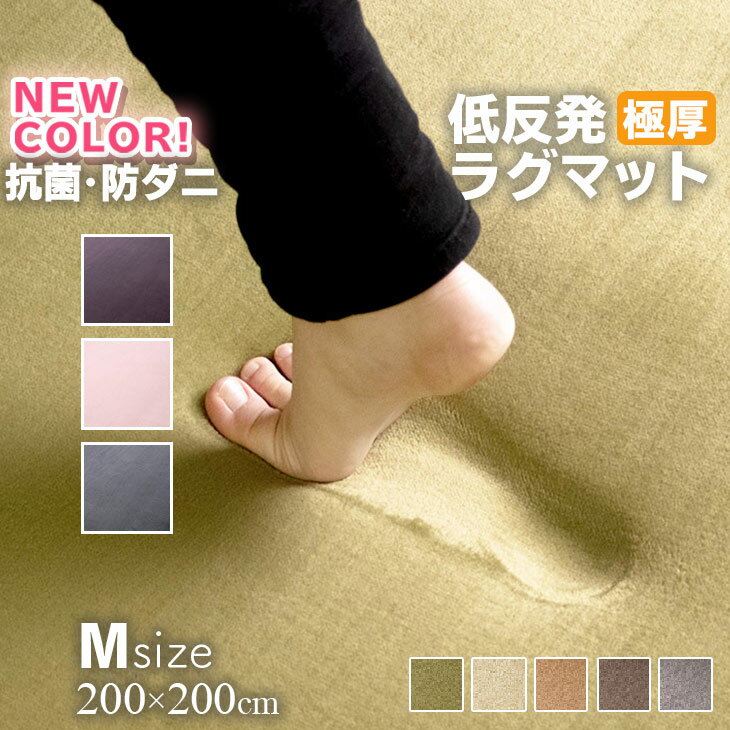 【ジャンル大賞！】 ラグ 低反発 極厚25mm 200×200cm ラグ 厚手 滑り止め ラグマット カーペット 2畳 ホットカーペット対応 リビング 春 夏 フリーリー
