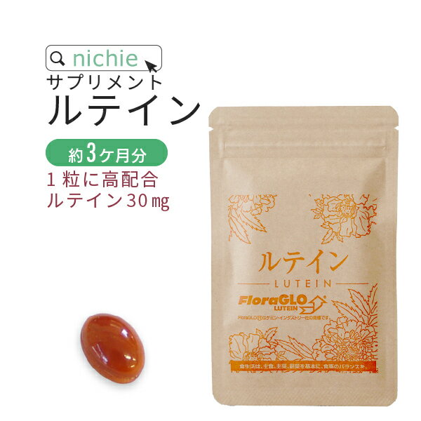 【10％OFF】ルテイン サプリメント ゼアキサンチン 90粒（約3ヶ月分） ルテイン サプリ E10 nichie ニチエー RSL #別売詰め替えボトル対応 【サプリ】