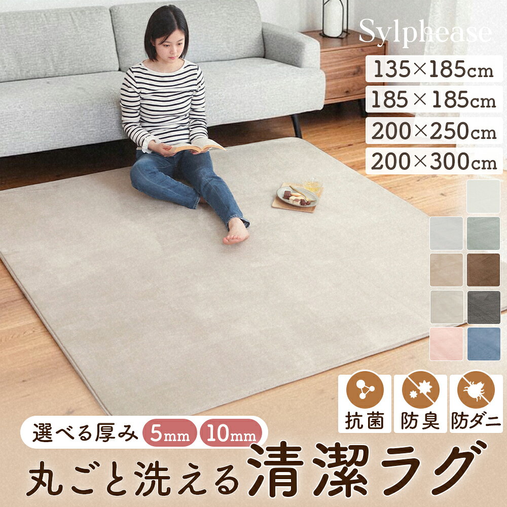 ラグ 洗える 2畳 3畳 4畳半 1.5畳 防ダニ 抗菌 防臭 無地 薄手 オールシーズン 毛足が短い 滑り止め 長方形 正方形 カーペット ラグマット 絨毯 ラグカーペット じゅうたん マット 柔らか 掃除 清潔 おしゃれ シンプル 北欧