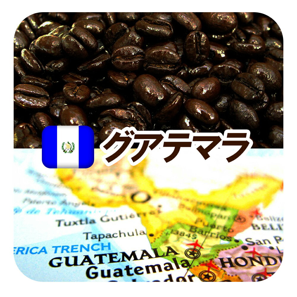 コーヒー豆 深煎り グアテマラ ガテマラ 送料無料 柑橘系のシトラスフルーツの香りに豊かなコクとキレ グァテマラSHB 深煎り フレンチロースト 250g メール便 コーヒー豆 アラビカ豆 コヒー豆 ポイント消化 内祝い 敬老の日ギフト 孫から コーヒー粉 敬老の日プレゼント