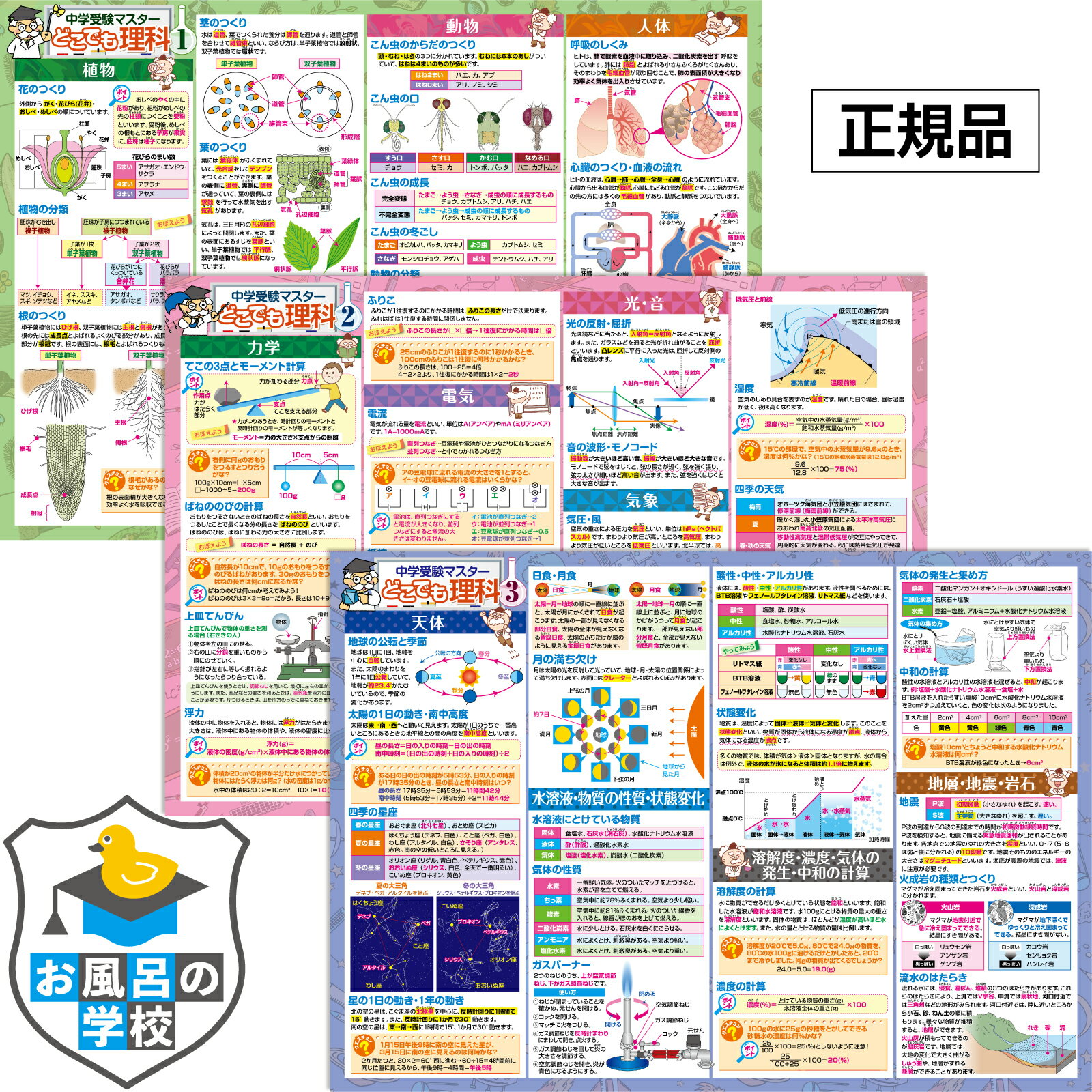 お風呂の学校 中学受験 理科 1~3 お風呂ポスター 3枚セット 中学受験 お風呂 知育 ポスター 中学受験に必要な理科まとめ B3サイズ 理科 防水 勉強 便利グッズ 教材 小学生 小学4年 小学5年 小学6年 力学 電気